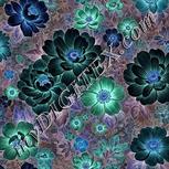 Colour:F