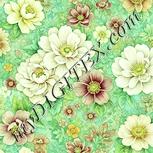 Colour:K