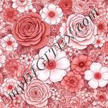 Colour:B