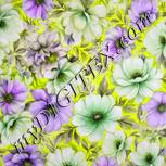 Colour:D