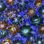Colour:F