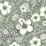 Colour:D