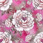 Colour:B