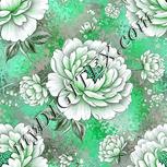 Colour:C
