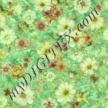 Colour:K