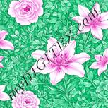 Colour:B