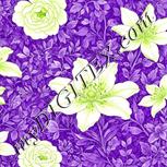 Colour:D