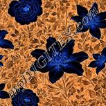 Colour:F