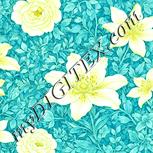 Colour:K