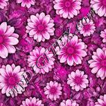 Colour:B