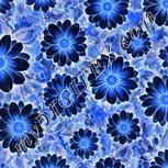 Colour:F