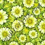Colour:K