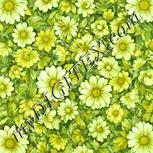 Colour:K