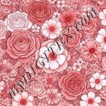 Colour:B