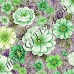 Colour:D