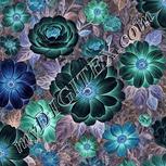 Colour:F