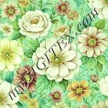 Colour:K