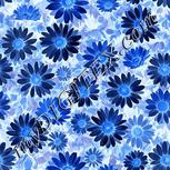 Colour:F
