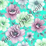 Colour:C