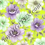Colour:D