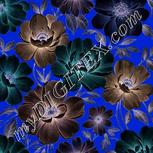 Colour:F
