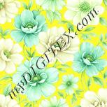 Colour:K