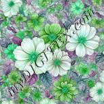 Colour:C