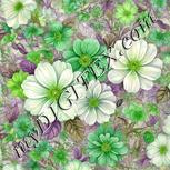 Colour:D