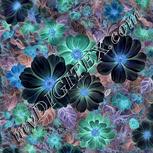 Colour:F