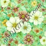 Colour:K