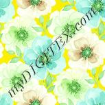 Colour:K