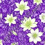 Colour:D