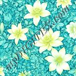 Colour:K