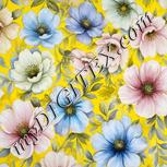 Colour:A