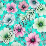 Colour:C