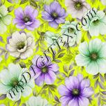 Colour:D