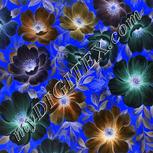 Colour:F
