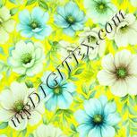 Colour:K