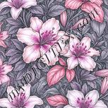 Colour:B