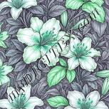 Colour:C