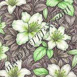 Colour:D