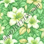 Colour:K