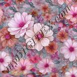 Colour:B