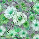 Colour:C