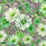 Colour:D