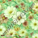 Colour:K
