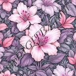 Colour:B