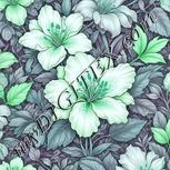 Colour:C
