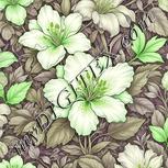 Colour:D