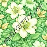 Colour:K